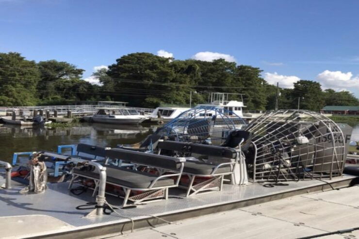 New Orleans: Airboat or Pontoon Boat Cruise With Transfers - Experience Highlights