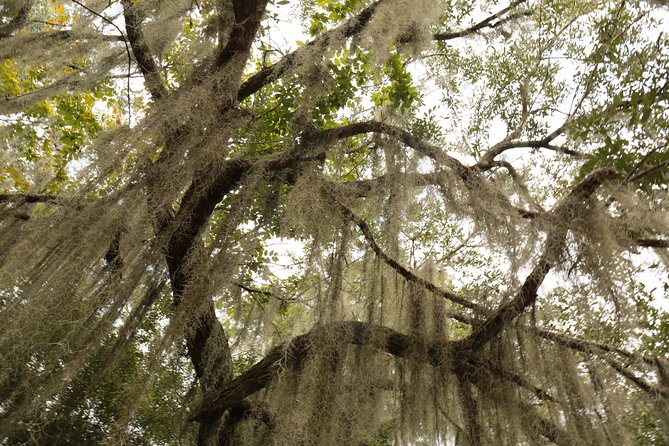 New Orleans Airboat Ride - Inclusions