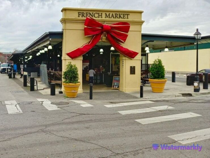 New Orleans: Airboat Swamp & City and Katrina Tour Combo - Experience