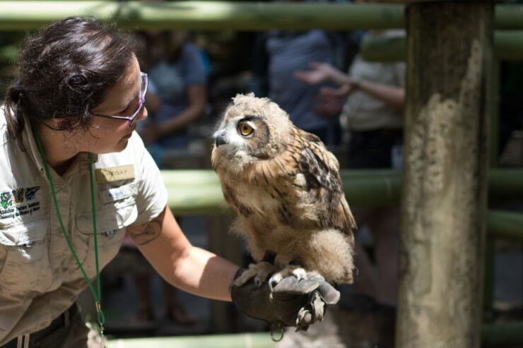 New Orleans: Audubon Zoo Ticket and Combination Option - Audubon Zoo Overview