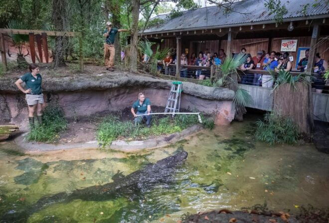 New Orleans: Audubon Zoo Ticket and Combination Option - Reservation and Cancellation Policy