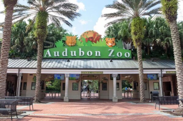 New Orleans: Audubon Zoo Ticket and Combination Option - Audubon Zoo Directions