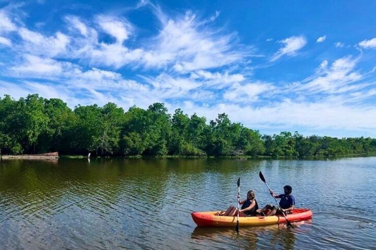 New Orleans: Bayou Bienvenue Self-Guided Kayak Rental - Activity Details