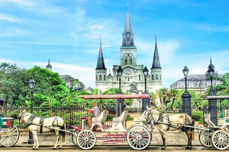 New Orleans City and Cemetery 3-Hour Bus Tour - A three-hour introduction to a city of contrasts