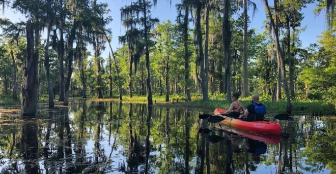 New Orleans: Extended Manchac Swamp Kayak Tour - Wildlife and Bird Watching