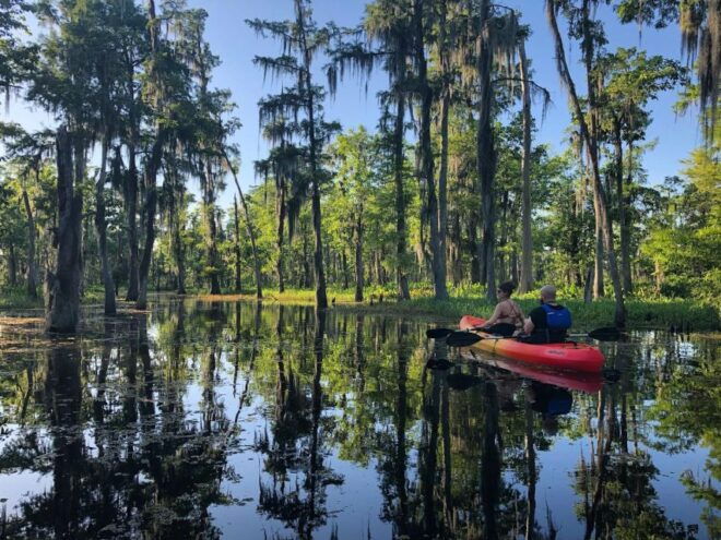 New Orleans: Extended Manchac Swamp Kayak Tour - Pricing and Availability