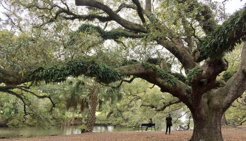 New Orleans Favorites: Beyond the French Quarter Tour - Introduction: A Broader View of New Orleans