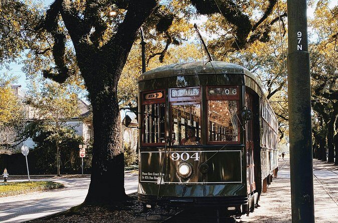 New Orleans Favorites Explore Beyond the French Quarter - The Experience from Past Travelers Perspectives  
