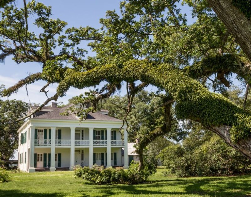 New Orleans: Felicity Plantation Guided Tour - The Setting and Architecture