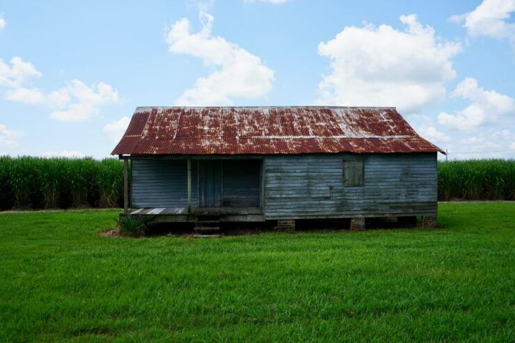 New Orleans: Felicity Plantation Guided Tour - Good To Know