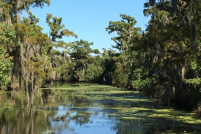 New Orleans Full-Day City Tour and Swamp Tour Combo - Additional Information