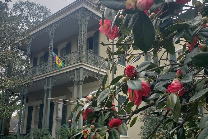 New Orleans Garden District Walking Tour Including Lafayette Cemetery No. 1 - Meet the Enthusiastic and Knowledgeable Guides