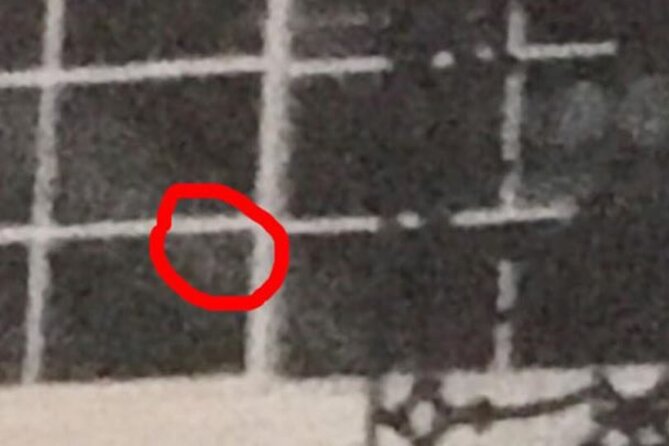 New Orleans Ghost Adventure With Real Paranormal Equipment - Directions