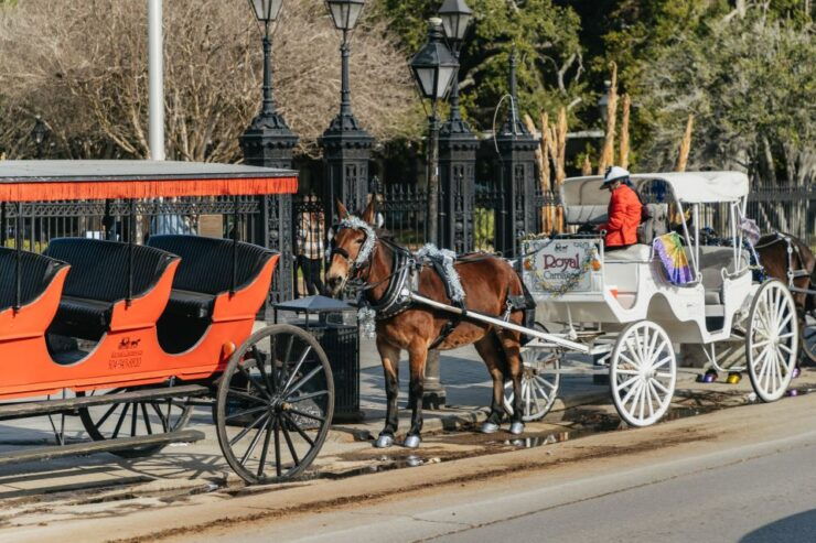 New Orleans: Guided City Sightseeing Tour by Bus - Tour Duration and Highlights