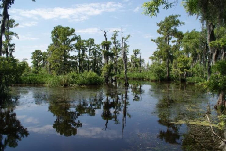 New Orleans: High Speed 16 Passenger Airboat Ride - Booking Information