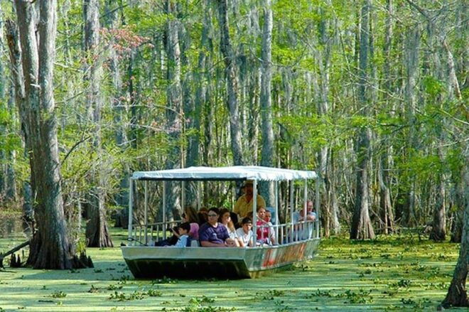 New Orleans: Honey Island Swamp and Bayou Boat Tour - Tour Duration and Pricing