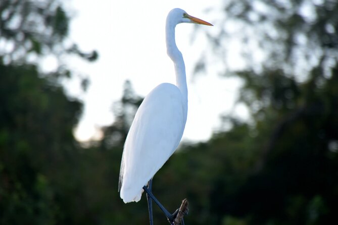 New Orleans Jean Lafitte National Historical Park Boat Ride - Reservation Information