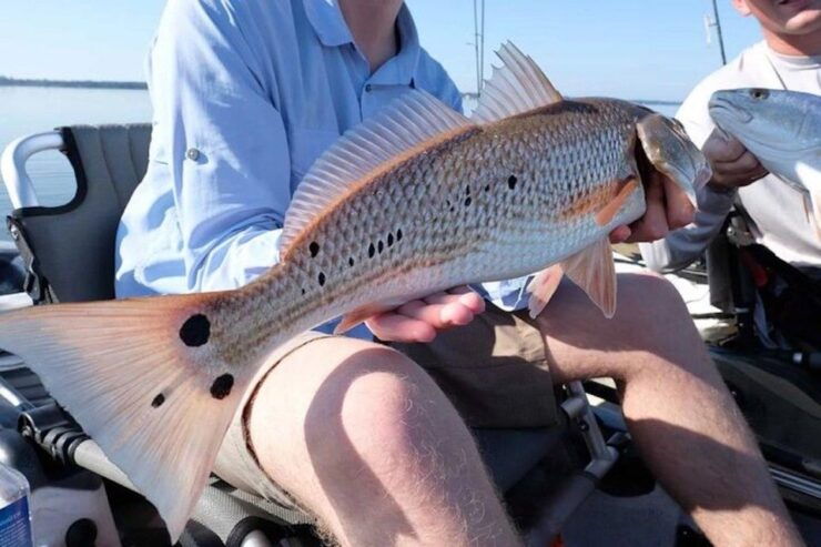 New Orleans: Kayak Fishing Charter in Bayou Bienvenue - Experience