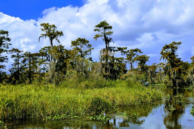 New Orleans Large Airboat Swamp Tour - Dissatisfied Customers