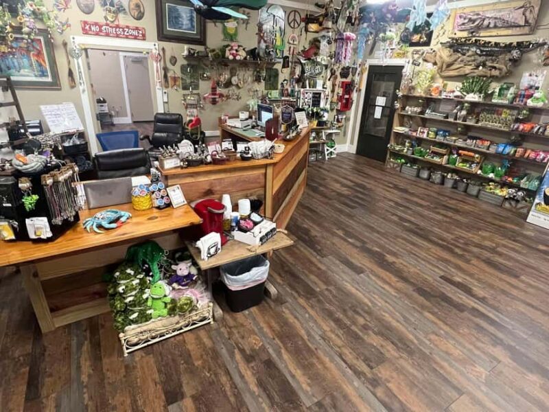 New Orleans Manchac Bayou Swamp Cruise W/ Optional Pick-Up - Who Should Consider This Tour?