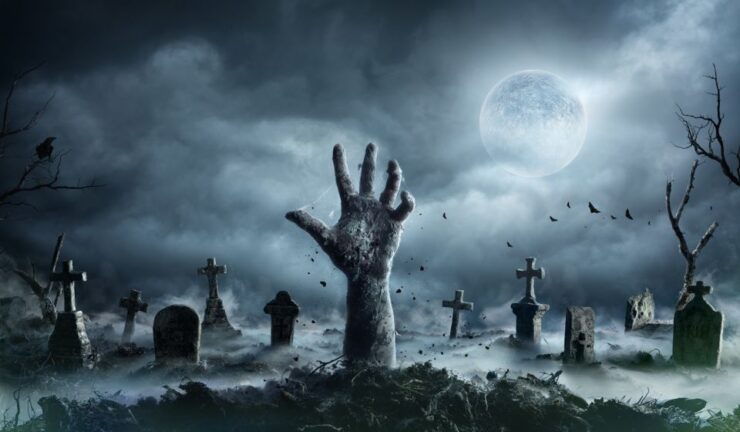 New Orleans: Night Cemetery and Ghost BYOB Bus Tour - Booking Details