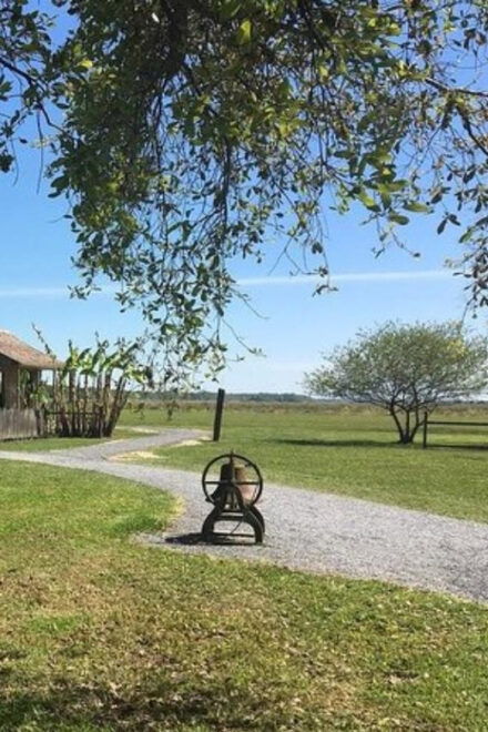 New Orleans: Oak Alley & Laura Plantation Tour W/Transport - Experience Highlights