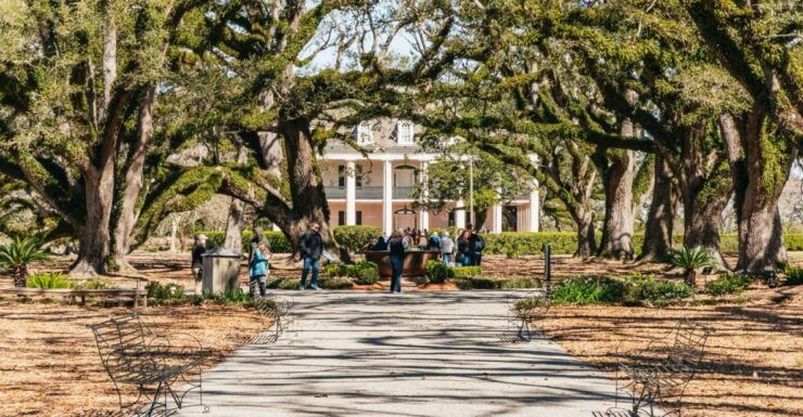 New Orleans: Oak Alley Plantation & Airboat Swamp Combo Tour - Experience