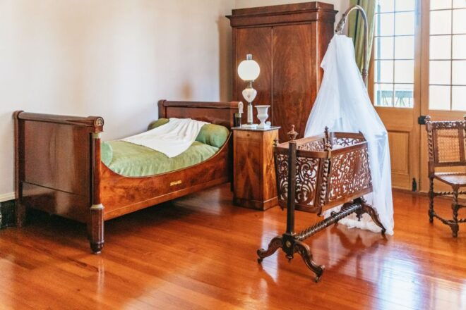 New Orleans: Oak Alley Plantation & Airboat Swamp Combo Tour - Airboat Swamp Tour