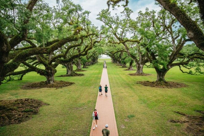 New Orleans: Oak Alley Plantation and Swamp Cruise Day Trip - Itinerary