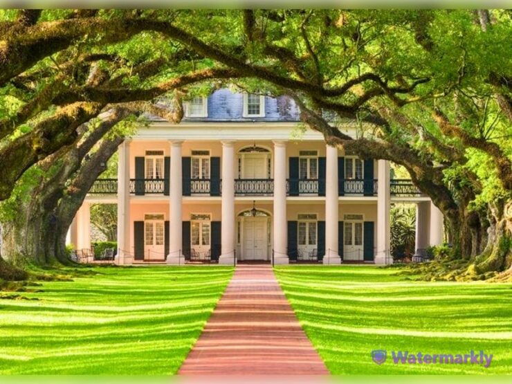 New Orleans: Oak Alley Plantation & City and Katrina Tour - Itinerary Highlights