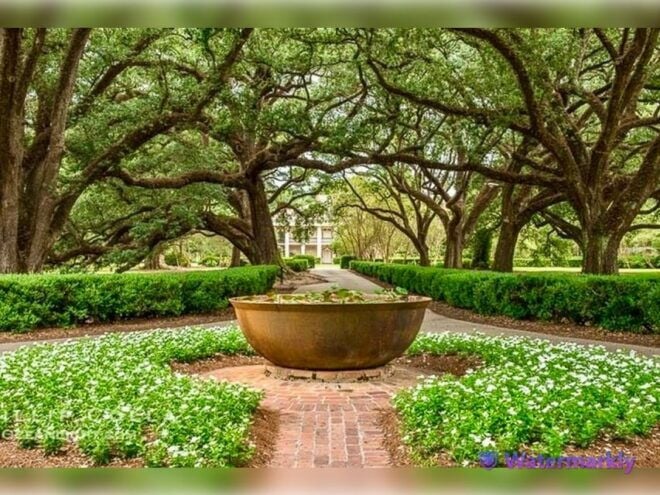 New Orleans: Oak Alley Plantation & City and Katrina Tour - Pickup and Drop-off Information