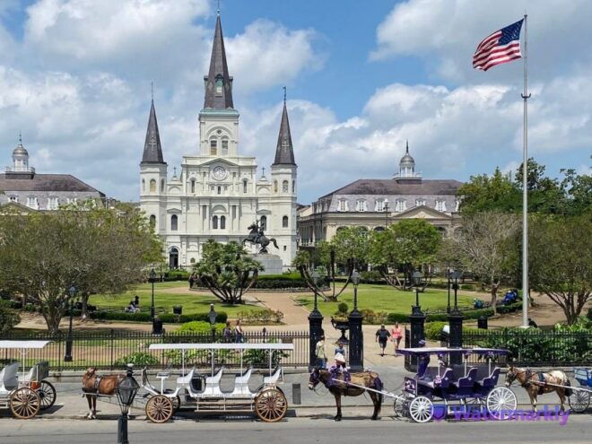 New Orleans: Oak Alley Plantation & City and Katrina Tour - Important Reminders and Tips