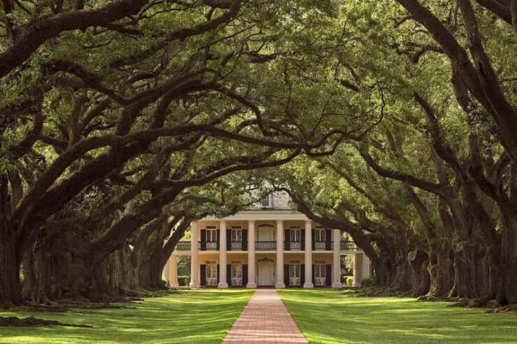 New Orleans: Oak Alley Plantation Half Day Tour - Itinerary and Transportation