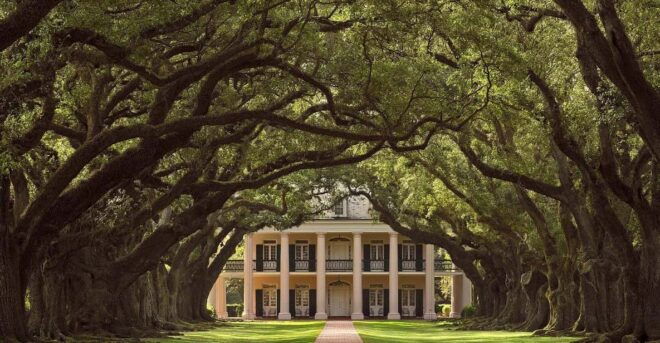 New Orleans: Oak Alley Plantation Half Day Tour - Group Size and Accessibility