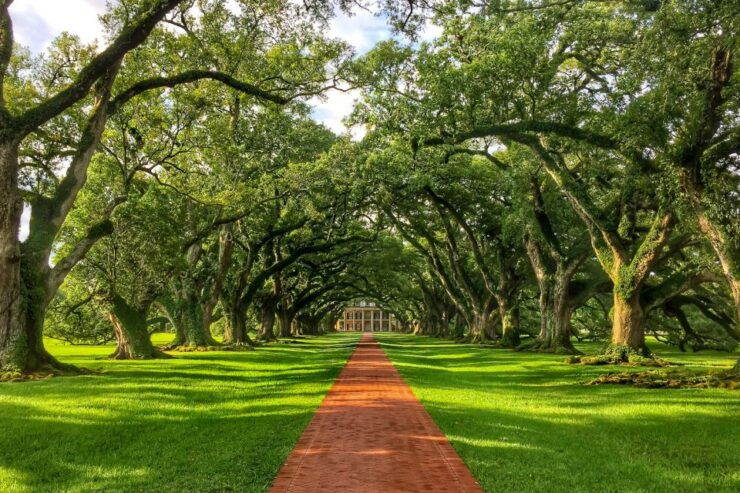New Orleans: Oak Alley Plantation Half-Day Tour - Experience Highlights