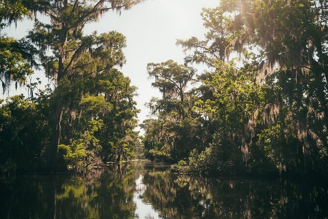 New Orleans Premium Six-Passenger Airboat Adventure - The Sum Up