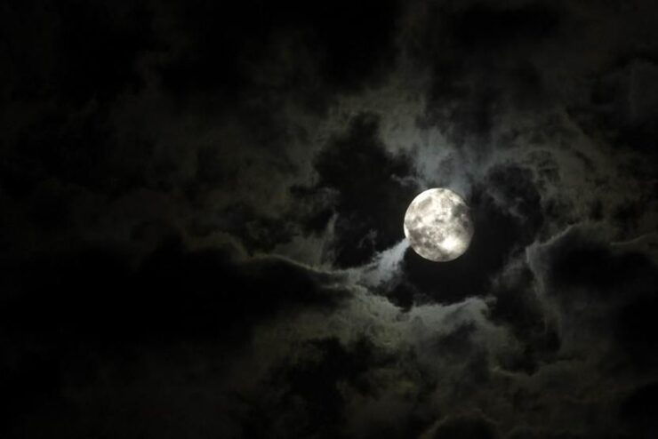 New Orleans: Private Haunted Excursion Tour - Booking Details