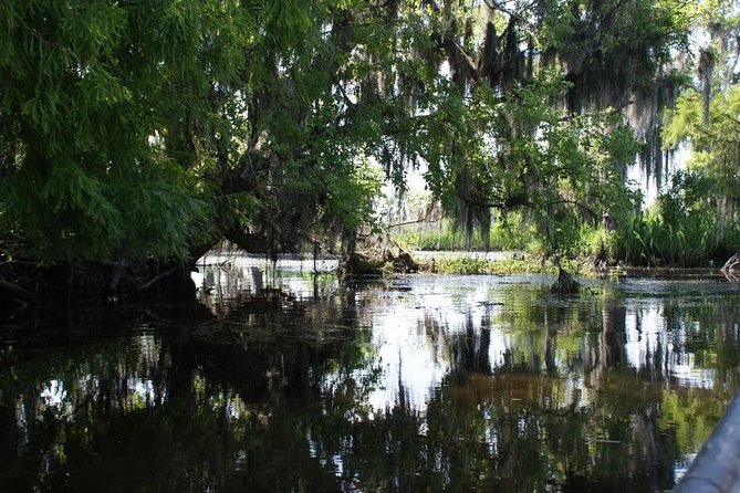 New Orleans Small Group Airboat Swamp Tour - Pricing and Booking