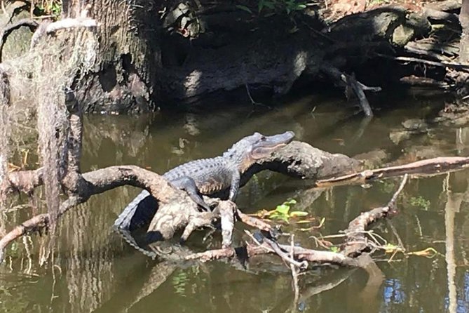 New Orleans Small Group Airboat Swamp Tour - What to Bring