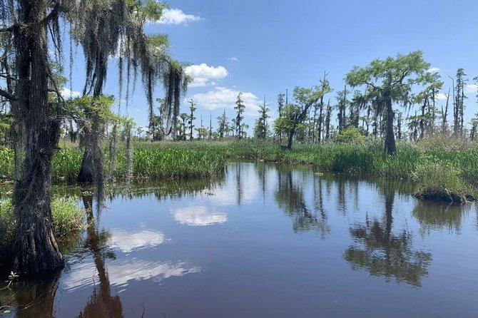 New Orleans Small Group Airboat Swamp Tour - Common Questions (FAQs)