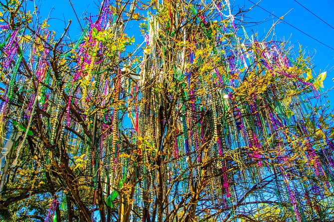 New Orleans Small Group City Tour - Cancellation Policy