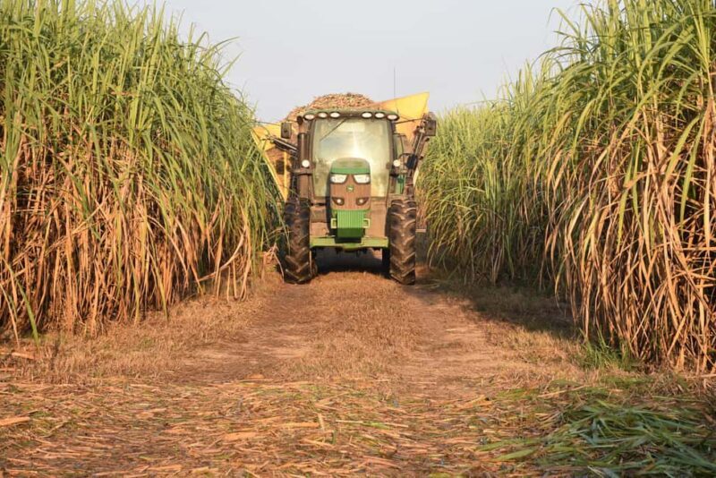 New Orleans: St. Joseph and Felicity Plantation Guided Tour - Final Thoughts