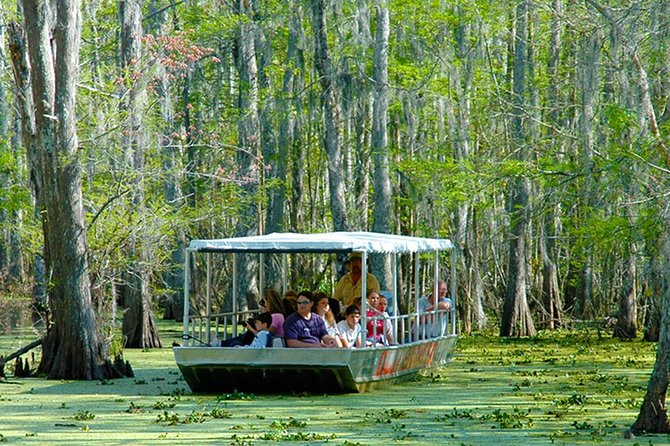 New Orleans Swamp and Bayou Boat Tour With Transportation - The Sum Up