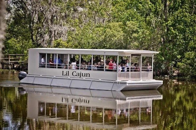 New Orleans Swamp and Bayou Sightseeing Boat Tour - From the French Quarter to the Barataria Preserve