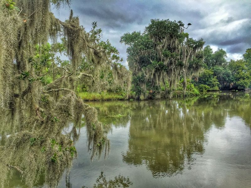 New Orleans Swamp and Bayou Sightseeing Boat Tour - Getting there, children, and mobility