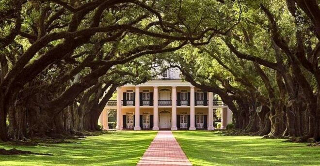New Orleans: Swamp Boat Ride and Oak Alley Plantation Tour - Inclusions