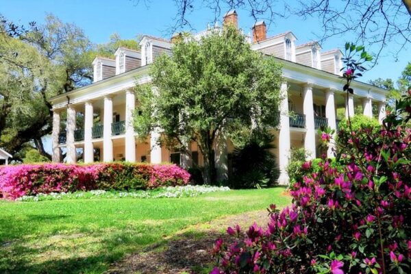 New Orleans: Swamp Boat Ride and Oak Alley Plantation Tour - The Sum Up