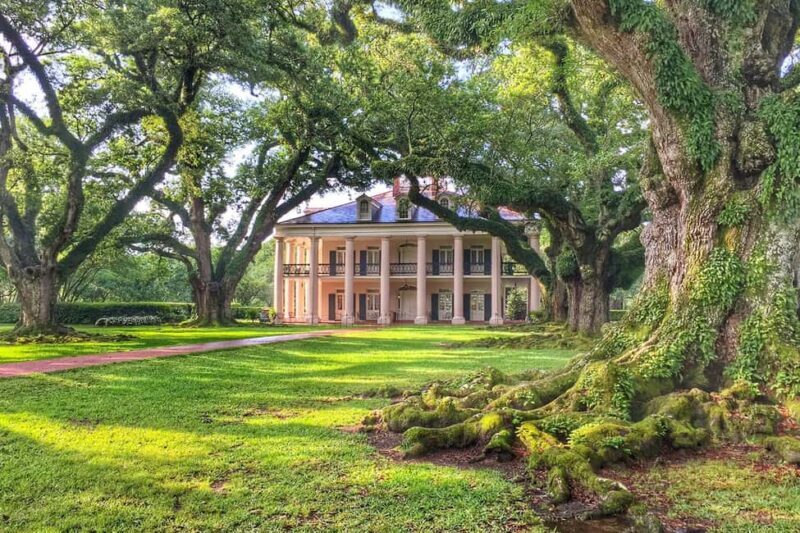 New Orleans: Swamp Boat Ride & Oak Alley Plantation Tour - Good To Know