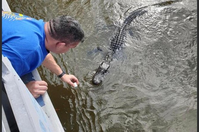 New Orleans Swamp Tour Boat Adventure - Customer Reviews and Testimonials