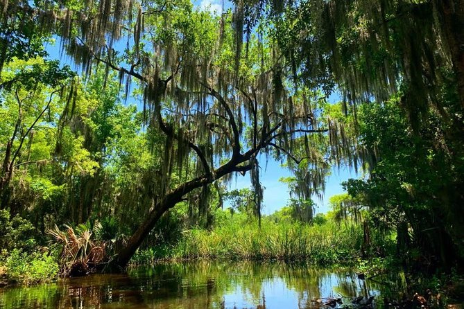 New Orleans Swamp Tour Boat Adventure With Pickup - What To Expect
